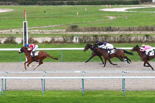 Photo d'arrivée de la course pmu PRIX DE PINAMAR à DEAUVILLE le Vendredi 8 janvier 2021