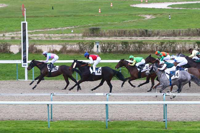 Photo d'arrivée de la course pmu PRIX DE CONCHES à DEAUVILLE le Vendredi 8 janvier 2021