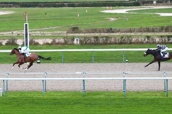 Photo d'arrivée de la course pmu PRIX DE BEAUFOSSE à DEAUVILLE le Vendredi 8 janvier 2021