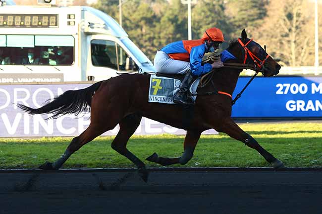 Photo d'arrivée de la course pmu PRIX EMILE RIOTTEAU à PARIS-VINCENNES le Samedi 9 janvier 2021