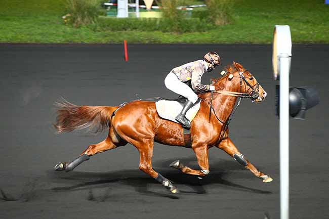Photo d'arrivée de la course pmu PRIX DE FONTENAY-EN-PARISIS à PARIS-VINCENNES le Samedi 9 janvier 2021