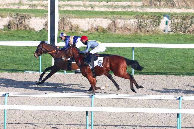 Photo d'arrivée de la course pmu PRIX DE LA GARE DE POINTE-NOIRE à DEAUVILLE le Samedi 9 janvier 2021