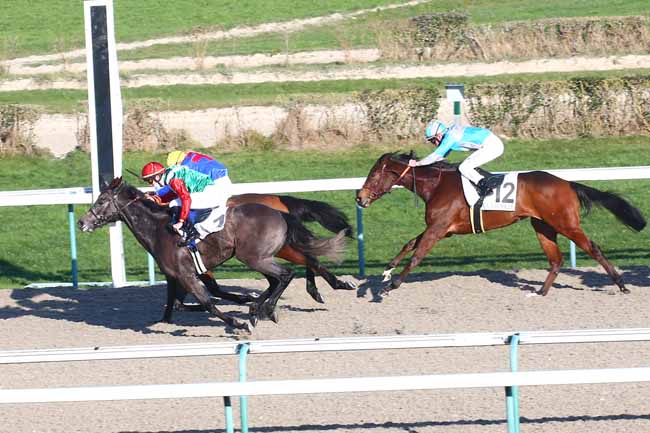 Photo d'arrivée de la course pmu PRIX DE LA GARE DE DALAT à DEAUVILLE le Samedi 9 janvier 2021