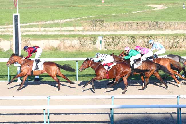 Photo d'arrivée de la course pmu PRIX DE LA COUR ORIOT à DEAUVILLE le Samedi 9 janvier 2021