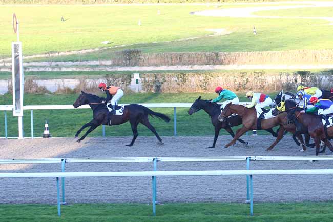 Photo d'arrivée de la course pmu PRIX DE L'AURE à DEAUVILLE le Samedi 9 janvier 2021