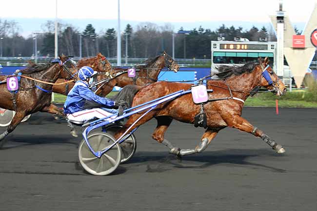 Photo d'arrivée de la course pmu PRIX DE SALON-DE-PROVENCE à PARIS-VINCENNES le Dimanche 10 janvier 2021
