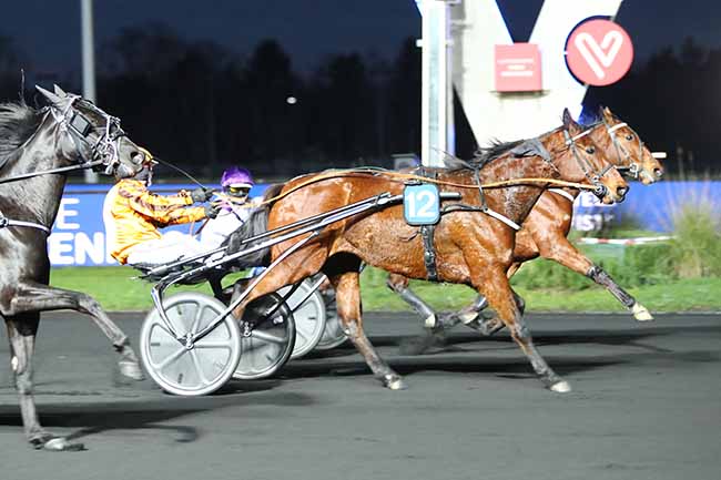 Photo d'arrivée de la course pmu PRIX DE BELLEGARDE à PARIS-VINCENNES le Dimanche 10 janvier 2021