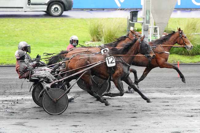 Photo d'arrivée de la course pmu PRIX DE VIC-BIGORRE à PARIS-VINCENNES le Mardi 12 janvier 2021
