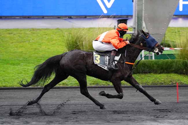 Photo d'arrivée de la course pmu PRIX DE POLIGNY à PARIS-VINCENNES le Mardi 12 janvier 2021