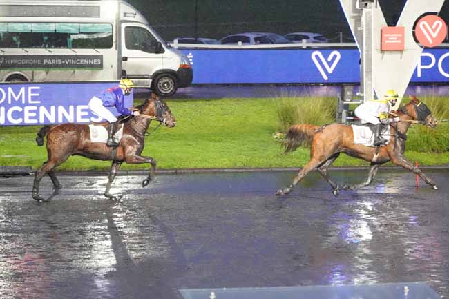 Photo d'arrivée de la course pmu PRIX DE BOULAY à PARIS-VINCENNES le Mardi 12 janvier 2021