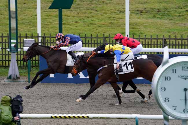 Photo d'arrivée de la course pmu PRIX BIRIBI à CHANTILLY le Mercredi 13 janvier 2021