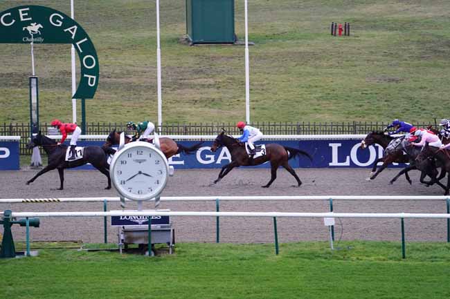 Photo d'arrivée de la course pmu PRIX DU CHEMIN DU BAC à CHANTILLY le Mercredi 13 janvier 2021
