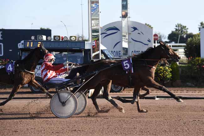 Photo d'arrivée de la course pmu PRIX PROMISING CATCH à CAGNES-SUR-MER le Jeudi 14 janvier 2021