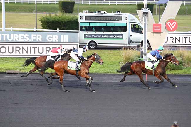 Photo d'arrivée de la course pmu PRIX DJERID à PARIS-VINCENNES le Dimanche 17 janvier 2021