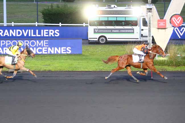 Photo d'arrivée de la course pmu PRIX DE GRANDVILLIERS à PARIS-VINCENNES le Lundi 18 janvier 2021