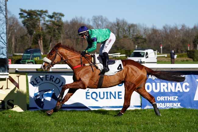 Photo d'arrivée de la course pmu PRIX EMILE LESTORTE à PAU le Mardi 19 janvier 2021
