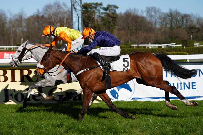Photo d'arrivée de la course pmu PRIX EQUIDIA - PRIX AUGUSTE DE CASTELBAJAC à PAU le Mardi 19 janvier 2021