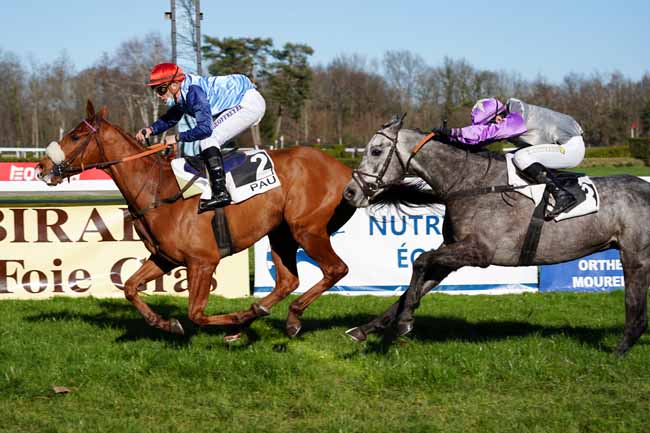 Photo d'arrivée de la course pmu PRIX DE LA CHALOSSE à PAU le Mardi 19 janvier 2021