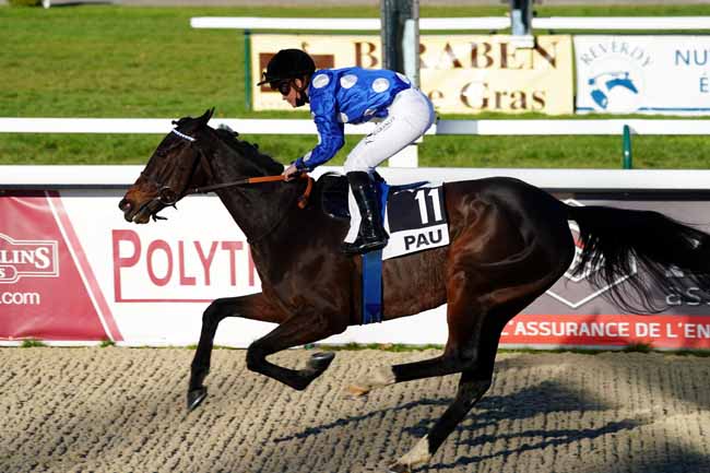 Photo d'arrivée de la course pmu PRIX DE LASCLAVERIES à PAU le Mardi 19 janvier 2021