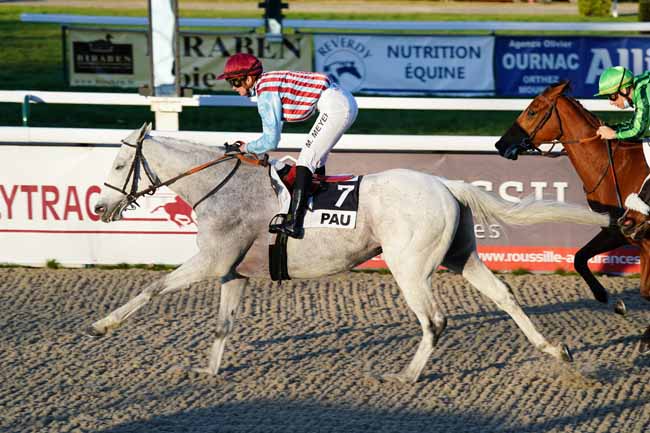 Photo d'arrivée de la course pmu PRIX DE LESCAR à PAU le Mardi 19 janvier 2021