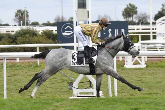 Photo d'arrivée de la course pmu PRIX DU VAL CAREI à CAGNES-SUR-MER le Mercredi 20 janvier 2021