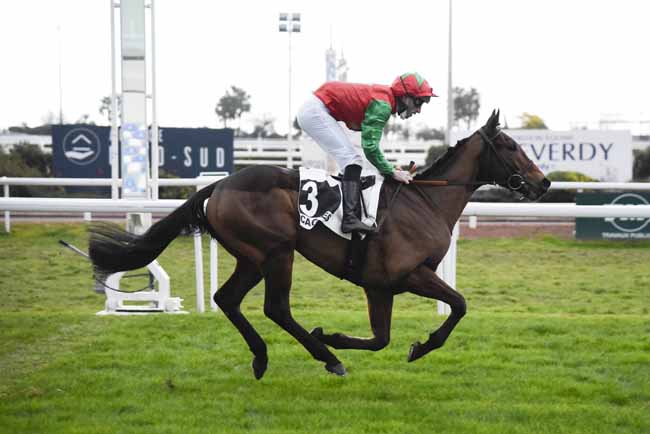 Photo d'arrivée de la course pmu PRIX DE LA CROISETTE à CAGNES-SUR-MER le Mercredi 20 janvier 2021