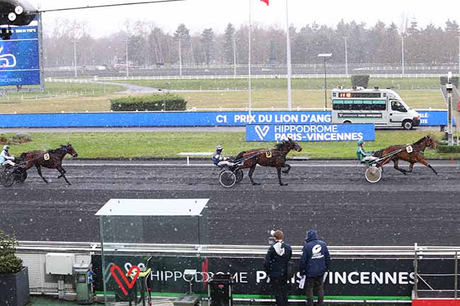 Photo d'arrivée de la course pmu PRIX DU LION D'ANGERS à PARIS-VINCENNES le Dimanche 24 janvier 2021