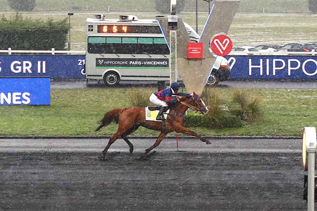 Photo d'arrivée de la course pmu PRIX CAMILLE DE WAZIERES à PARIS-VINCENNES le Dimanche 24 janvier 2021