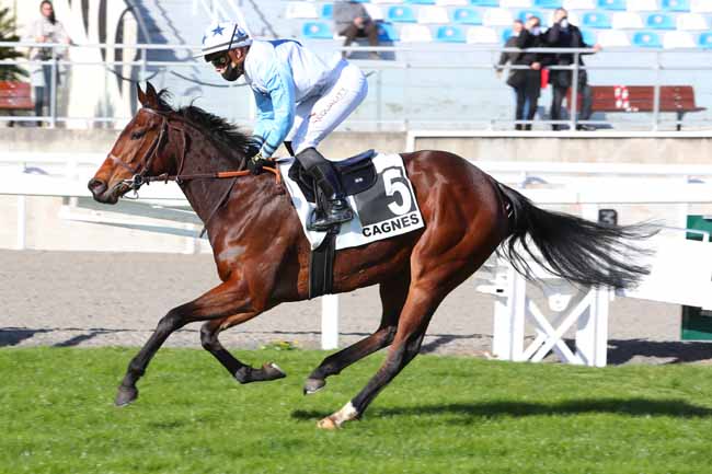 Photo d'arrivée de la course pmu PRIX DES CITRONNIERS à CAGNES-SUR-MER le Lundi 25 janvier 2021