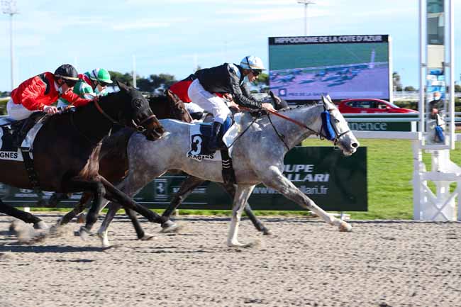 Photo d'arrivée de la course pmu PRIX DE LA GAUDE à CAGNES-SUR-MER le Lundi 25 janvier 2021