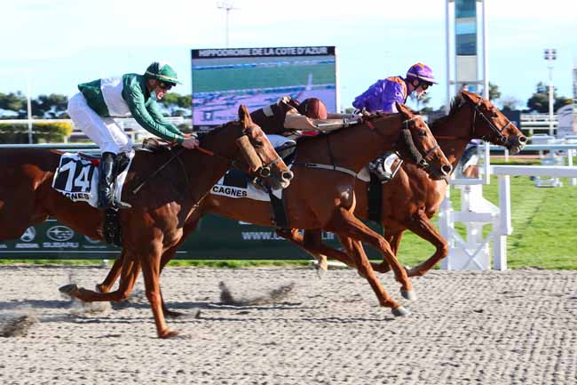Photo d'arrivée de la course pmu PRIX DE SAINT-JEANNET à CAGNES-SUR-MER le Lundi 25 janvier 2021
