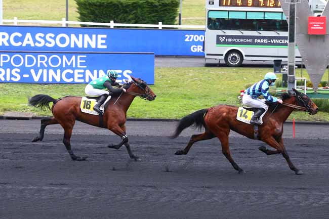 Photo d'arrivée de la course pmu PRIX DE CARCASSONNE à PARIS-VINCENNES le Lundi 1 février 2021
