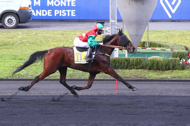 Photo d'arrivée de la course pmu PRIX DE PUY GUILLAUME à PARIS-VINCENNES le Mardi 2 février 2021