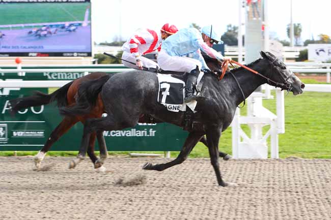 Photo d'arrivée de la course pmu PRIX DES CALANQUES à CAGNES-SUR-MER le Mercredi 3 février 2021