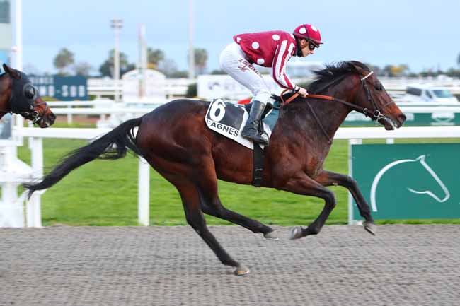 Photo d'arrivée de la course pmu PRIX DE VINTIMILLE à CAGNES-SUR-MER le Mercredi 3 février 2021