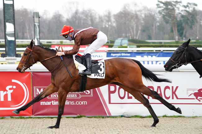 Photo d'arrivée de la course pmu PRIX DE COARRAZE à PAU le Vendredi 5 février 2021