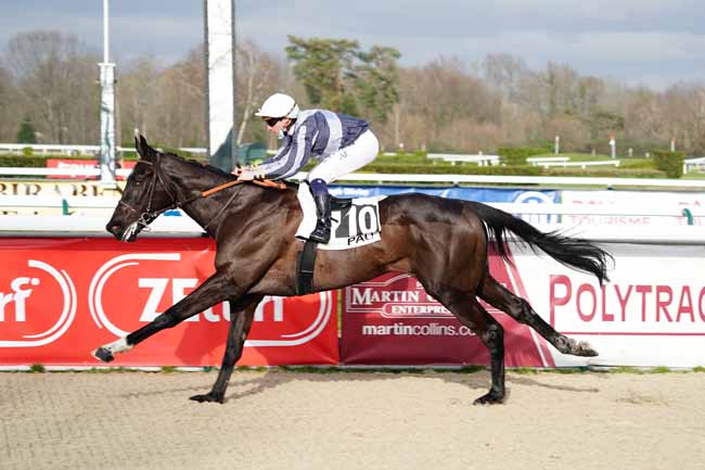 Photo d'arrivée de la course pmu PRIX DE NAY à PAU le Vendredi 5 février 2021