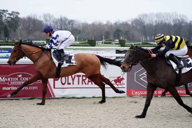 Photo d'arrivée de la course pmu PRIX DE PAU à PAU le Vendredi 5 février 2021