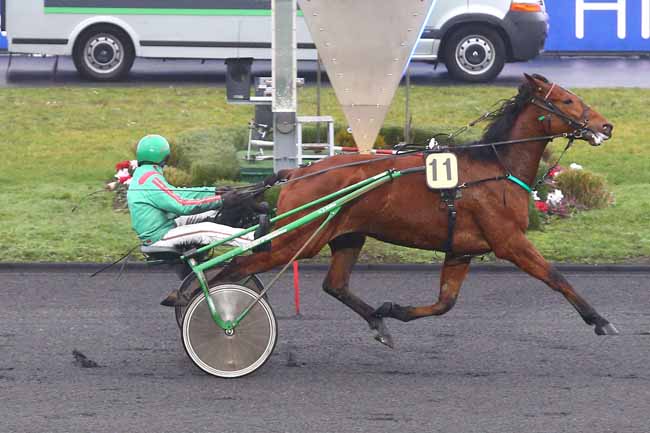 Photo d'arrivée de la course pmu PRIX DE GOURNAY-EN-BRAY à PARIS-VINCENNES le Dimanche 7 février 2021