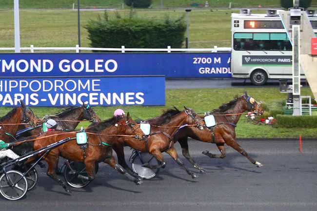Photo d'arrivée de la course pmu PRIX RAYMOND GOLEO à PARIS-VINCENNES le Dimanche 7 février 2021
