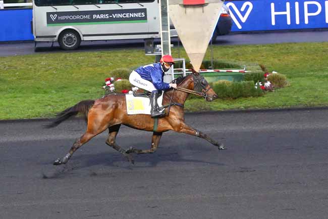Photo d'arrivée de la course pmu PRIX DE L'ILE-DE-FRANCE à PARIS-VINCENNES le Dimanche 7 février 2021