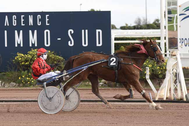 Photo d'arrivée de la course pmu PRIX DES LYS MARTAGON à CAGNES-SUR-MER le Mardi 9 février 2021