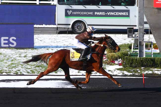 Photo d'arrivée de la course pmu PRIX DE MONTIVILLIERS à PARIS-VINCENNES le Mercredi 10 février 2021