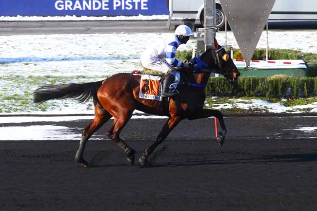 Photo d'arrivée de la course pmu PRIX DE PAIMBOEUF à PARIS-VINCENNES le Mercredi 10 février 2021