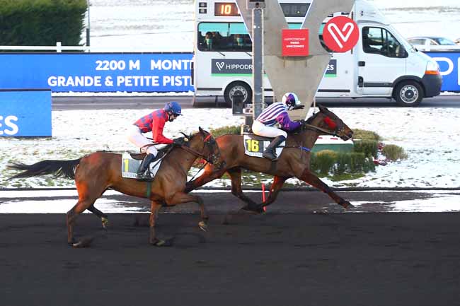 Photo d'arrivée de la course pmu PRIX DE BOUGUENAIS à PARIS-VINCENNES le Mercredi 10 février 2021