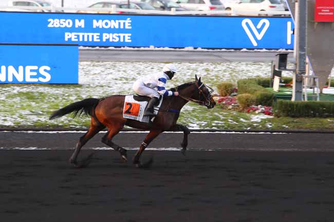 Photo d'arrivée de la course pmu PRIX ANDRE THERON à PARIS-VINCENNES le Jeudi 11 février 2021