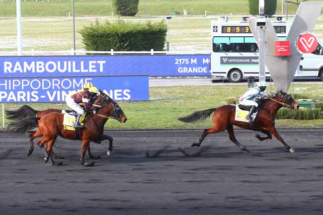 Photo d'arrivée de la course pmu PRIX DE RAMBOUILLET à PARIS-VINCENNES le Samedi 13 février 2021