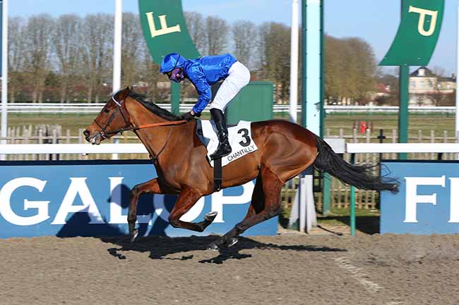 Photo d'arrivée de la course pmu PRIX DE LA ROUTE DU DEBAT à CHANTILLY le Samedi 13 février 2021