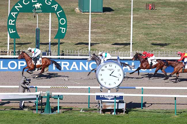 Photo d'arrivée de la course pmu PRIX DU BOIS DE BEAUVILLIERS à CHANTILLY le Samedi 13 février 2021