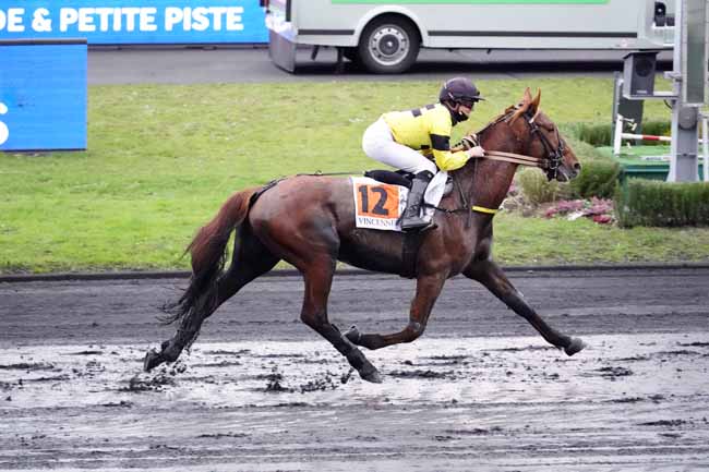 Photo d'arrivée de la course pmu PRIX DE COLMAR à PARIS-VINCENNES le Lundi 15 février 2021
